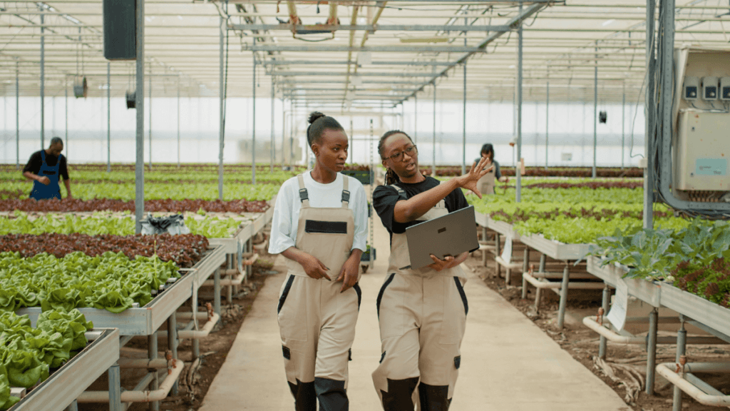 Agricultural Research Council Internship Opportunities